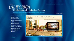 Professional Website Design