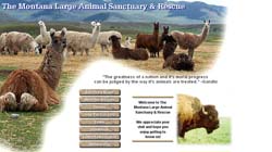 Montana Large Animal Sanctuary & Rescue 