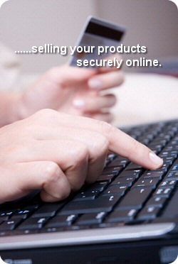 E-Commerce Website Design